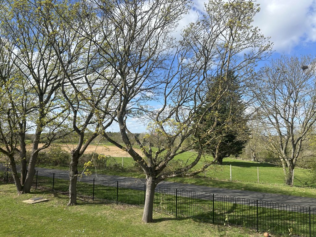 Headley Meadow Shortstown